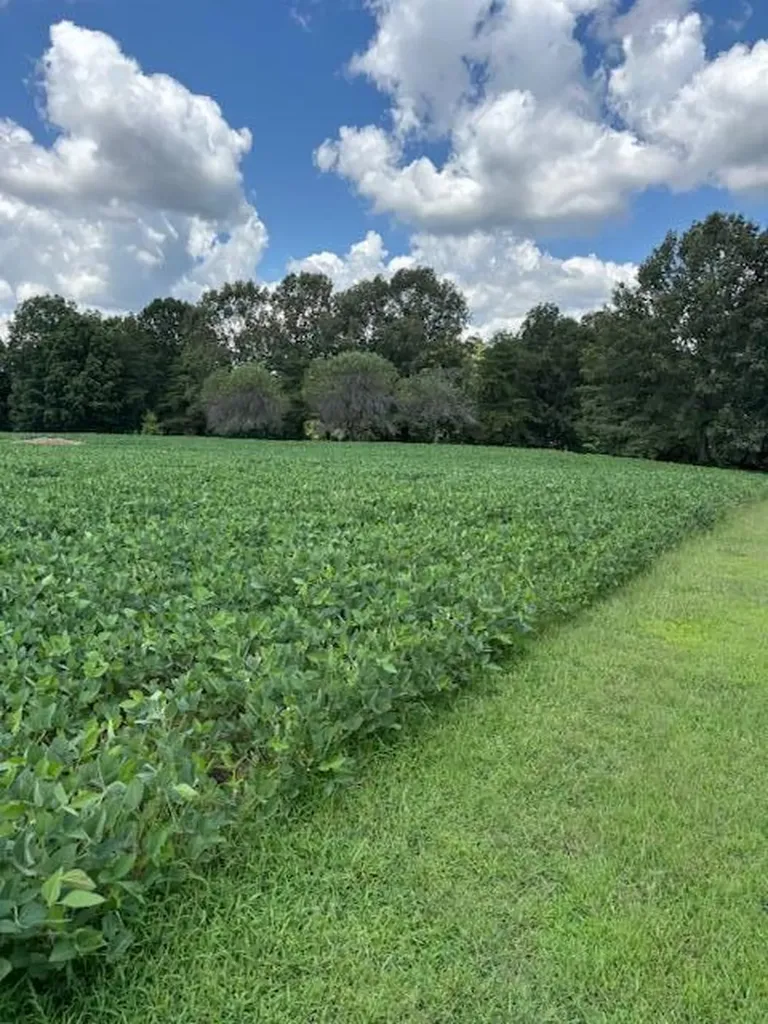 1 Nelson Mill Road Jamestown KY 42629