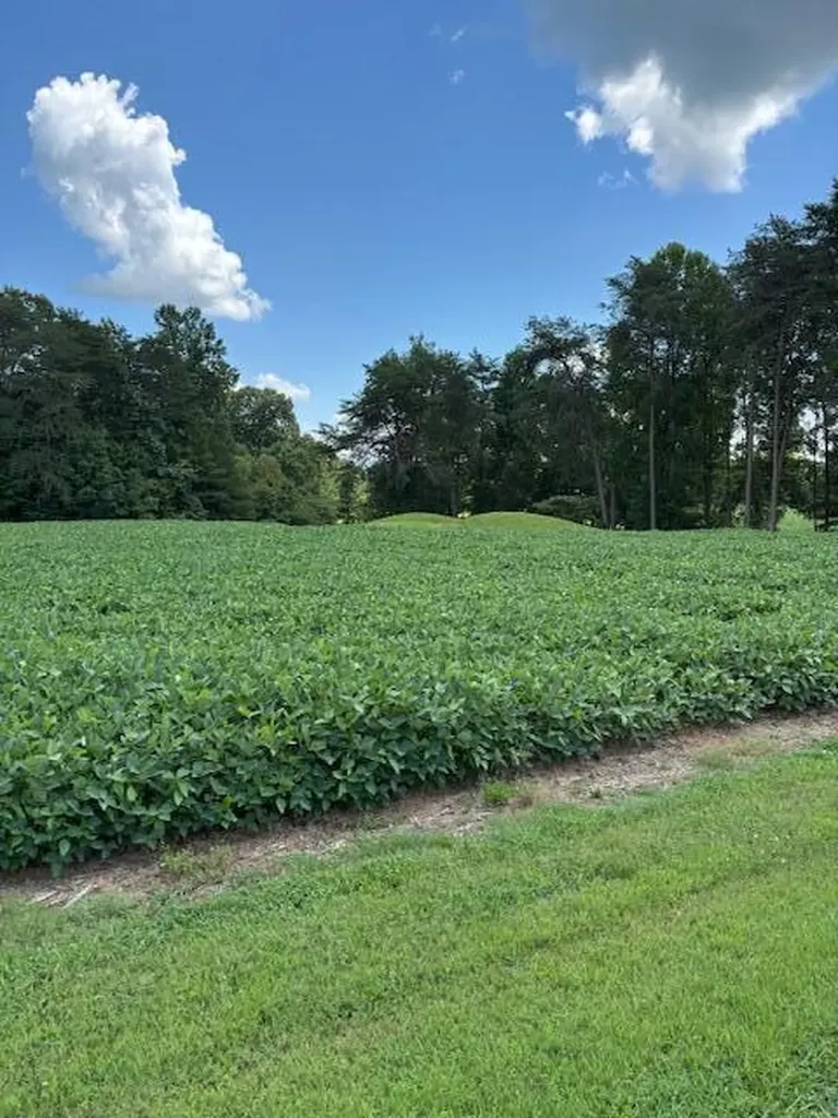 1 Nelson Mill Road Jamestown KY 42629