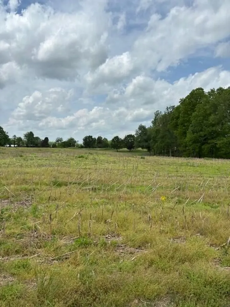 1 Nelson Mill Road Jamestown KY 42629