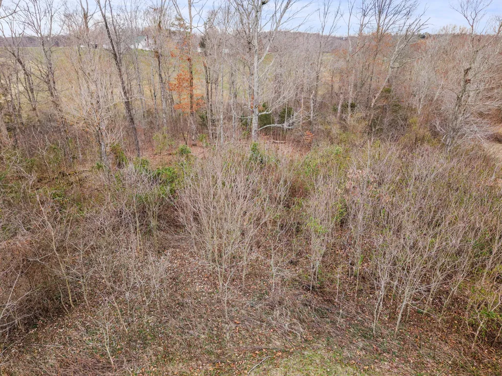 0 Ben Roy Road Nancy KY 42544