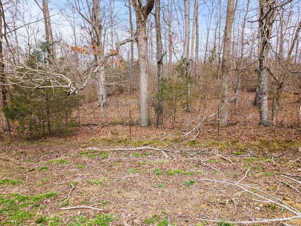 0 Ben Roy Road Nancy KY 42544