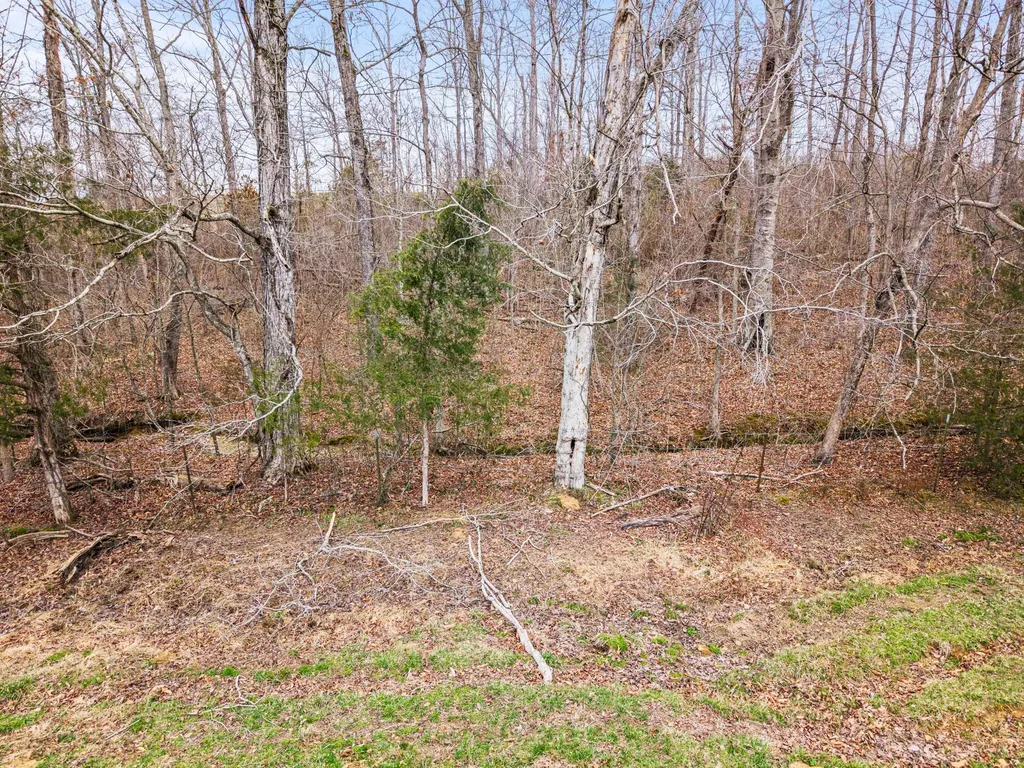 0 Ben Roy Road Nancy KY 42544