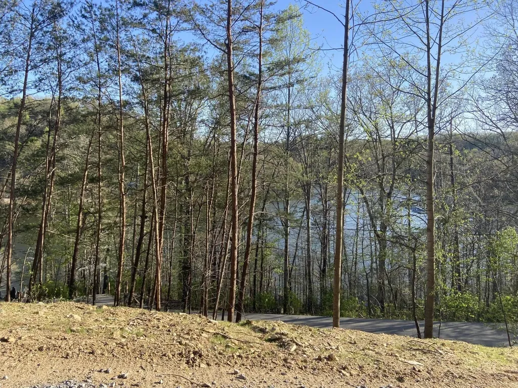974 Cliffs Edge Road East Bernstadt KY 40729
