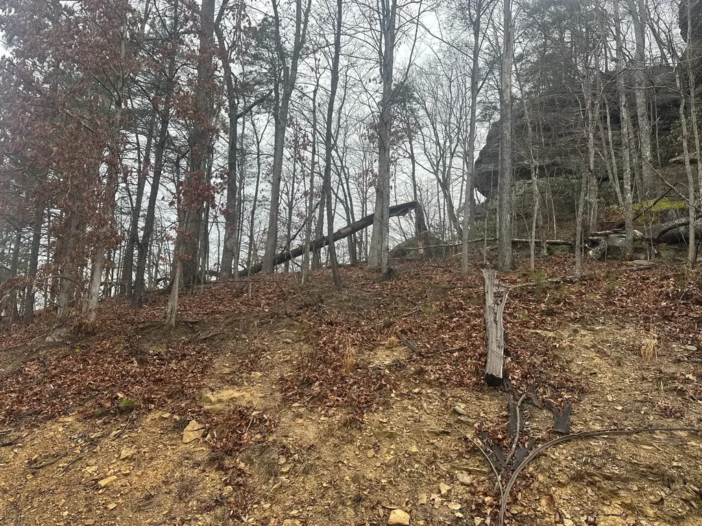 974 Cliffs Edge Road East Bernstadt KY 40729