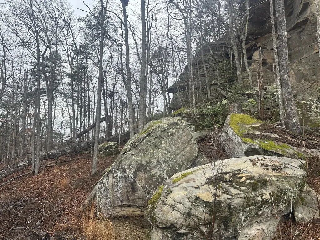974 Cliffs Edge Road East Bernstadt KY 40729