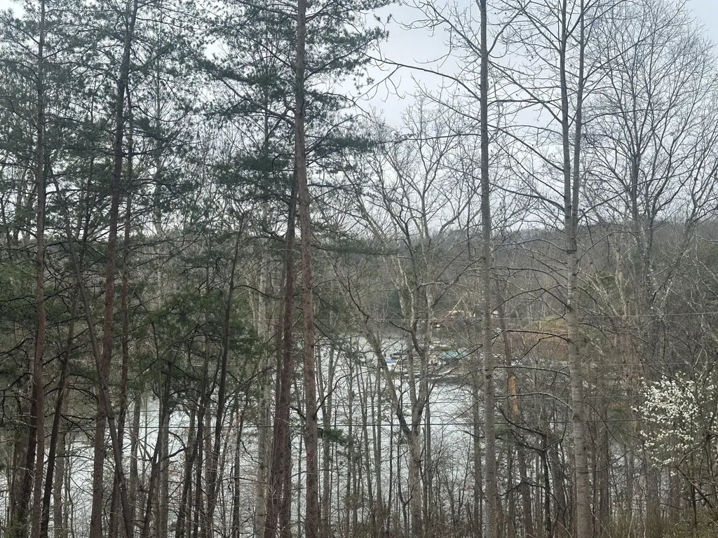 974 Cliffs Edge Road East Bernstadt KY 40729