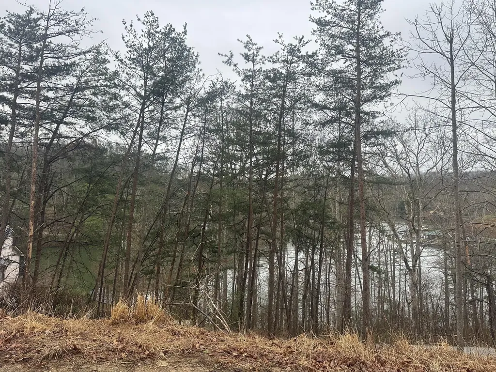 974 Cliffs Edge Road East Bernstadt KY 40729