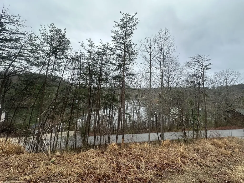 974 Cliffs Edge Road East Bernstadt KY 40729
