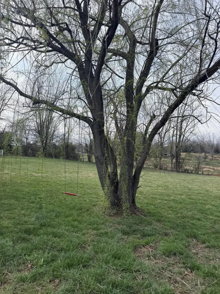 230 Johnson Road Waynesburg KY 40489