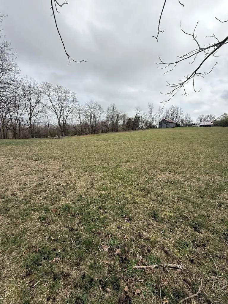 230 Johnson Road Waynesburg KY 40489