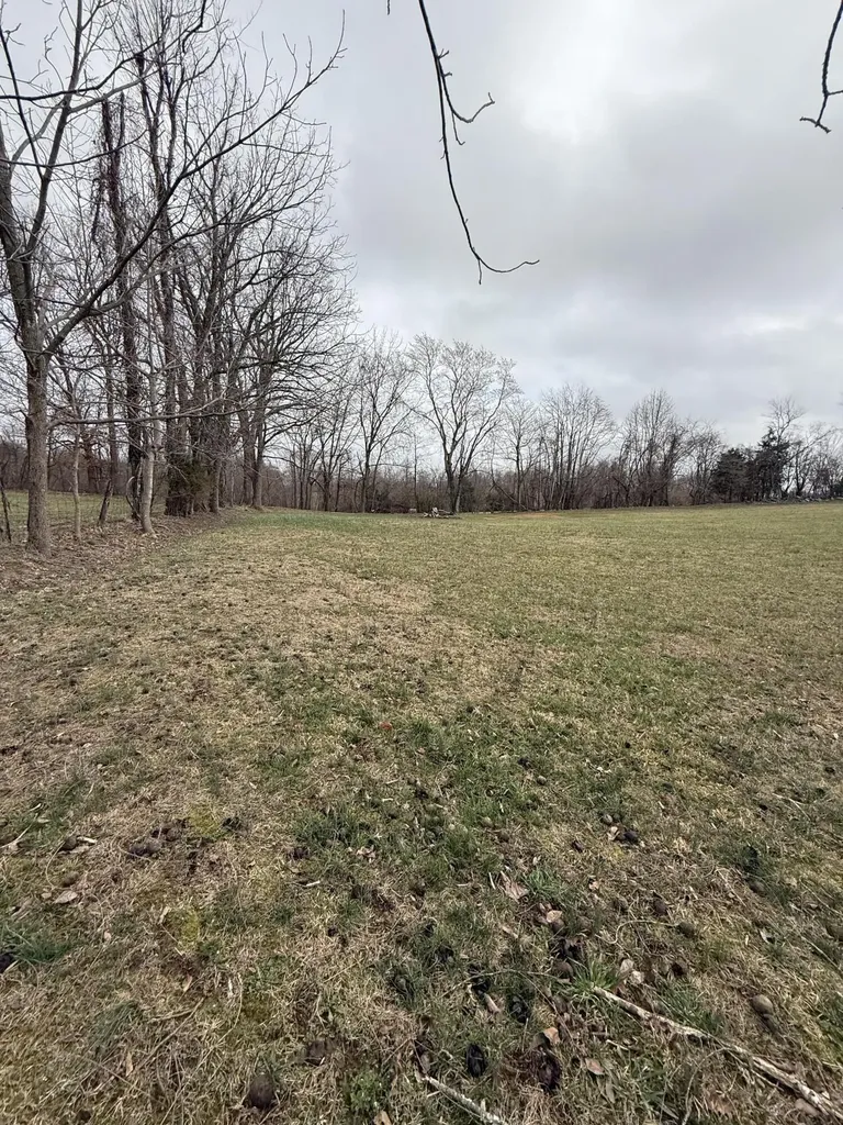 230 Johnson Road Waynesburg KY 40489