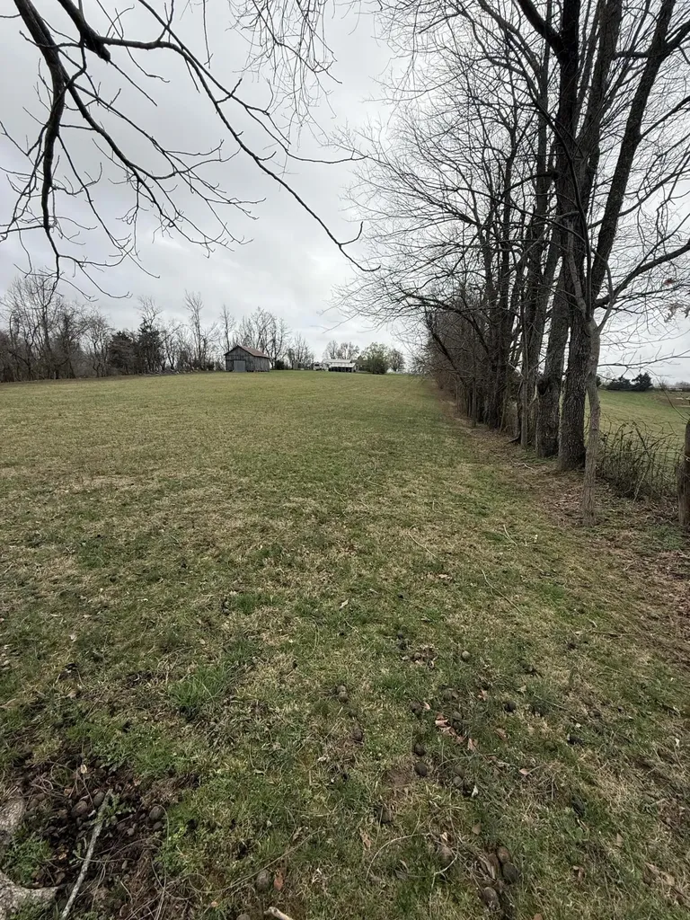 230 Johnson Road Waynesburg KY 40489