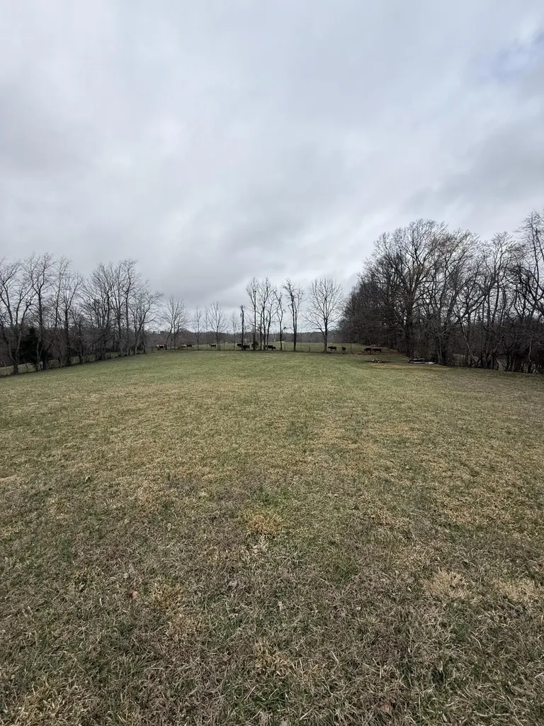 230 Johnson Road Waynesburg KY 40489