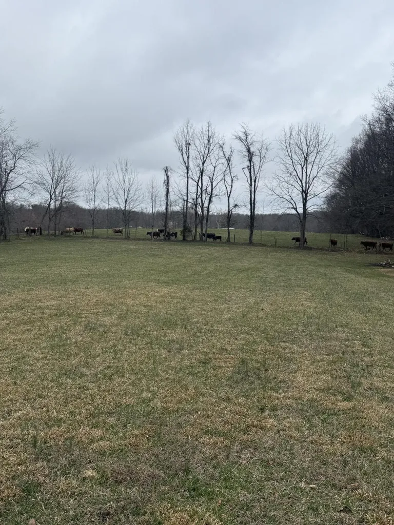 230 Johnson Road Waynesburg KY 40489