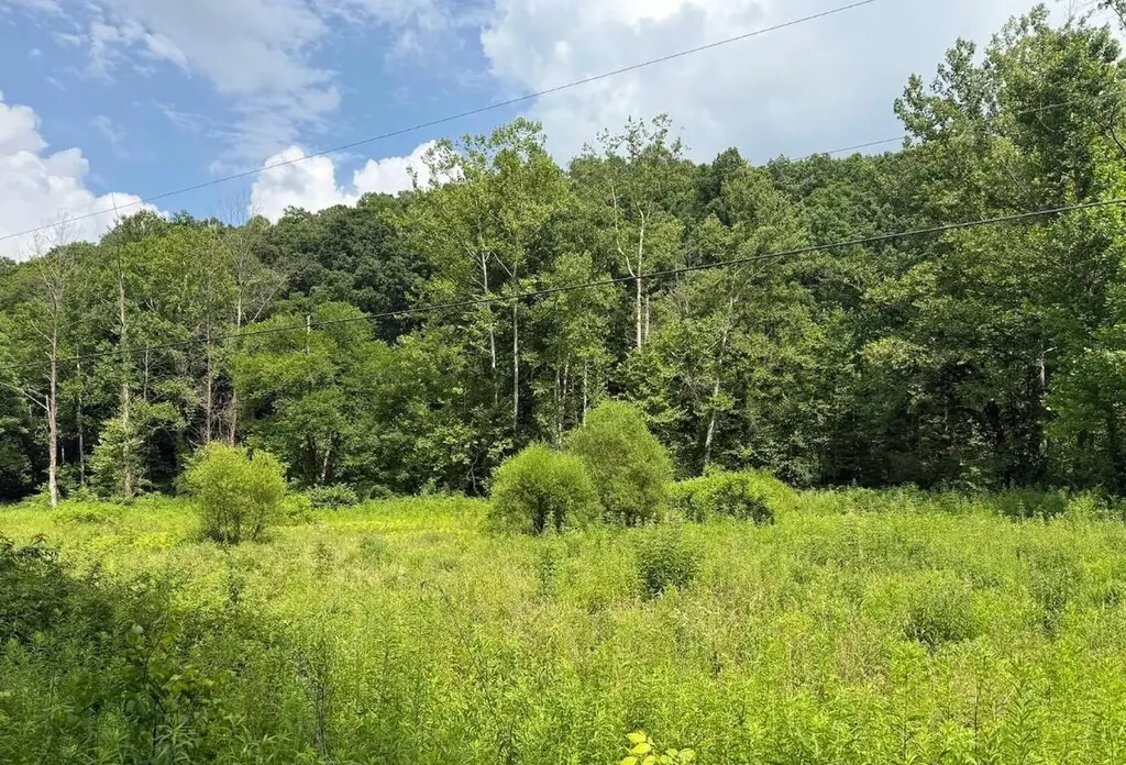 0 Meyers Fork Road Denniston KY 40316