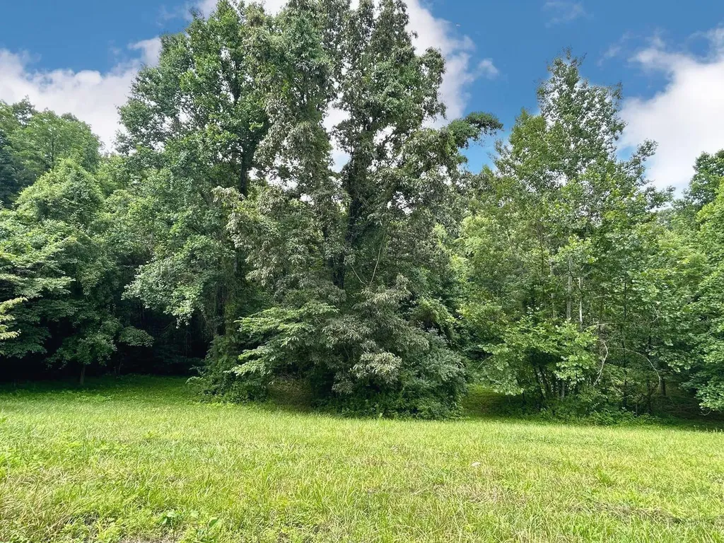 700 Beechwood Drive Nancy KY 42544