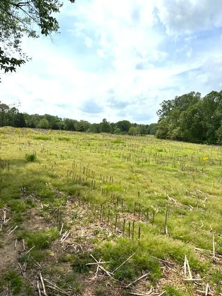 3 Nelson Mill Road Jamestown KY 42629