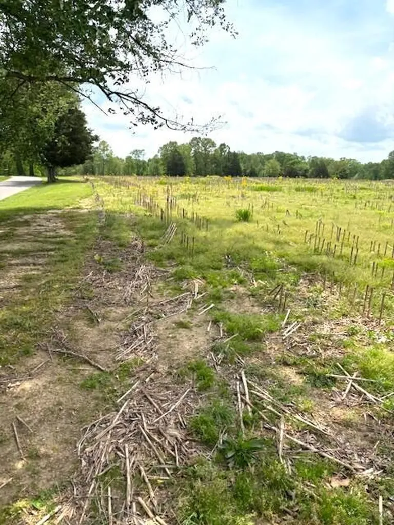 3 Nelson Mill Road Jamestown KY 42629