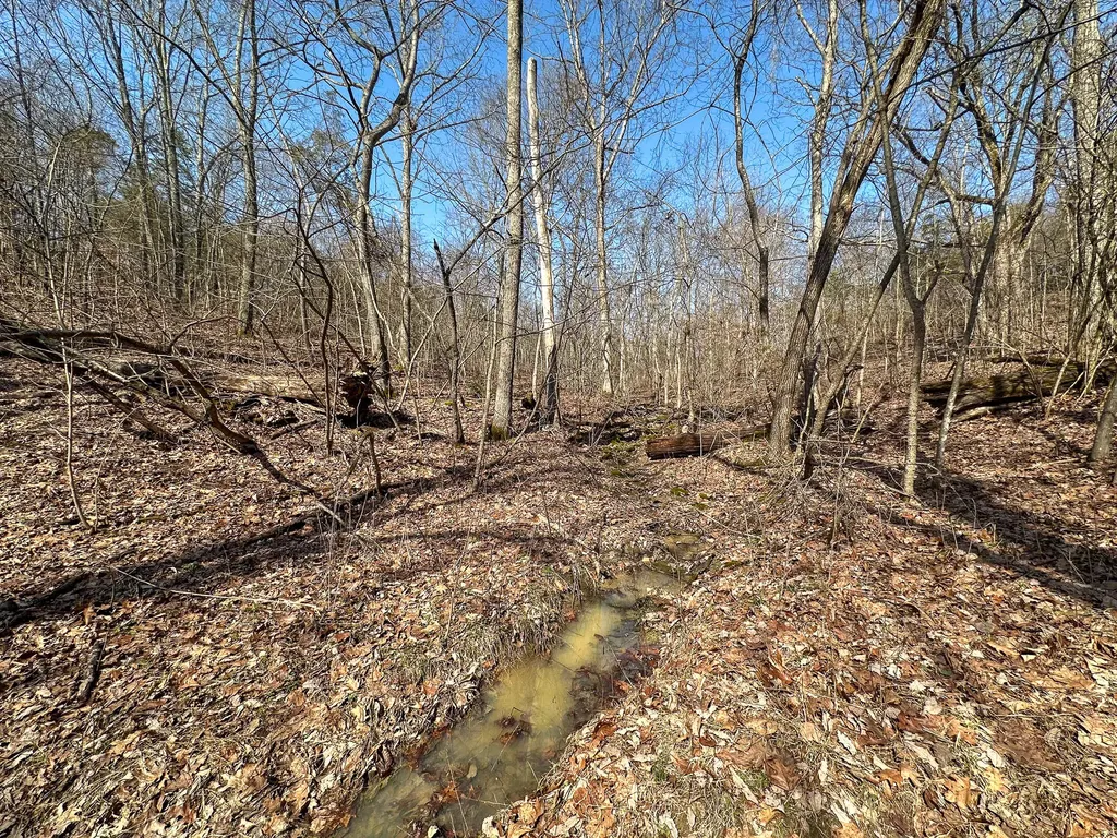 58 Beckett Road Berry KY 41003