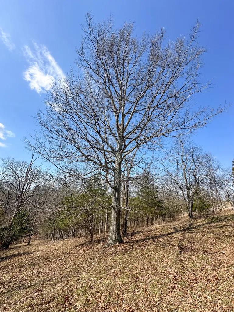 58 Beckett Road Berry KY 41003
