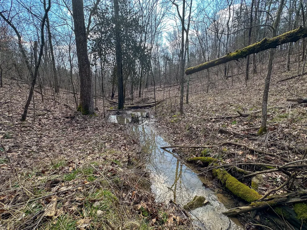 58 Beckett Road Berry KY 41003
