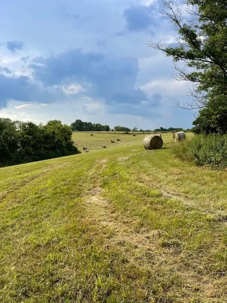 2849 Howards Mill Road Mt Sterling KY 40353