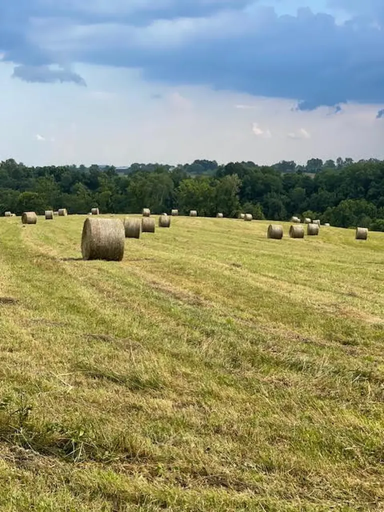 2849 Howards Mill Road Mt Sterling KY 40353