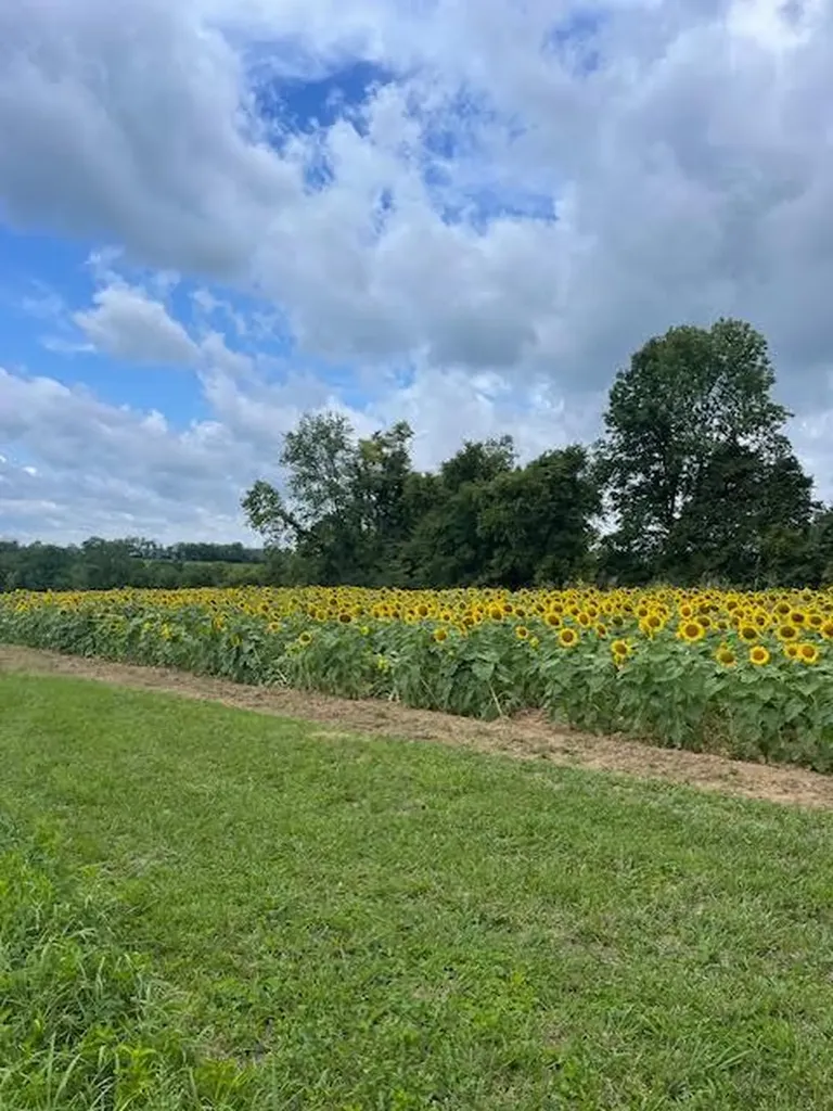2849 Howards Mill Road Mt Sterling KY 40353