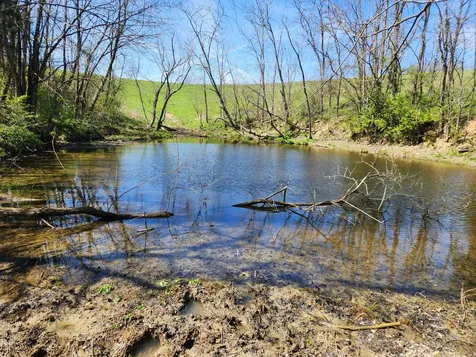 1300 Lower Concord Road Carlisle KY 40311