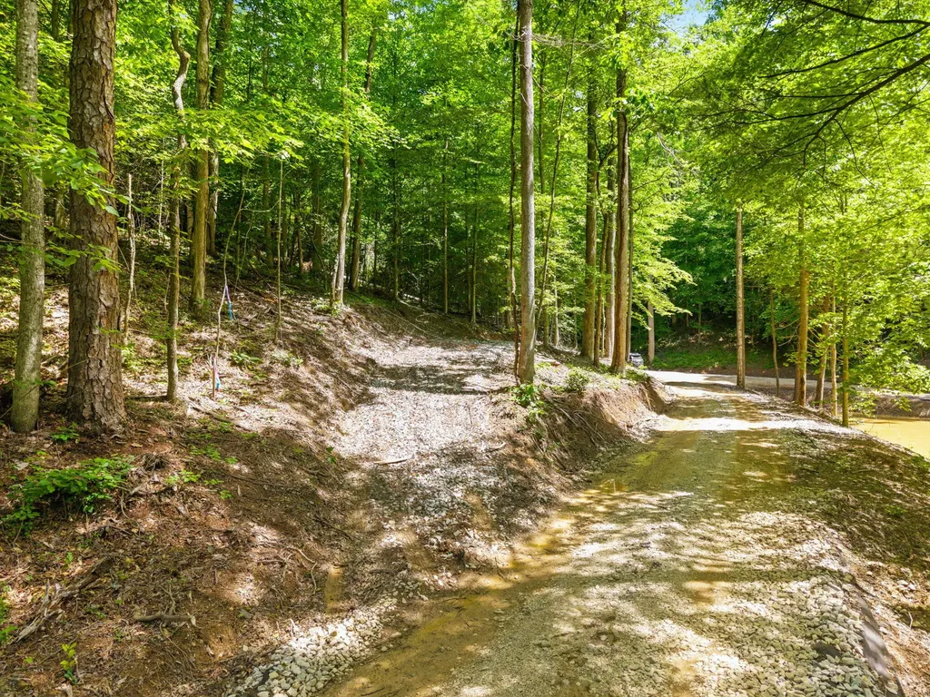 55 Low Ridge Road Campton KY 41301