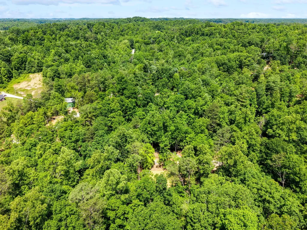 55 Low Ridge Road Campton KY 41301