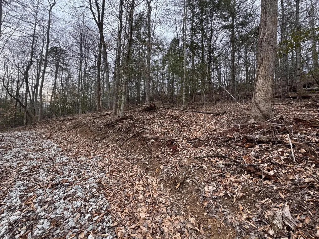 55 Low Ridge Road Campton KY 41301