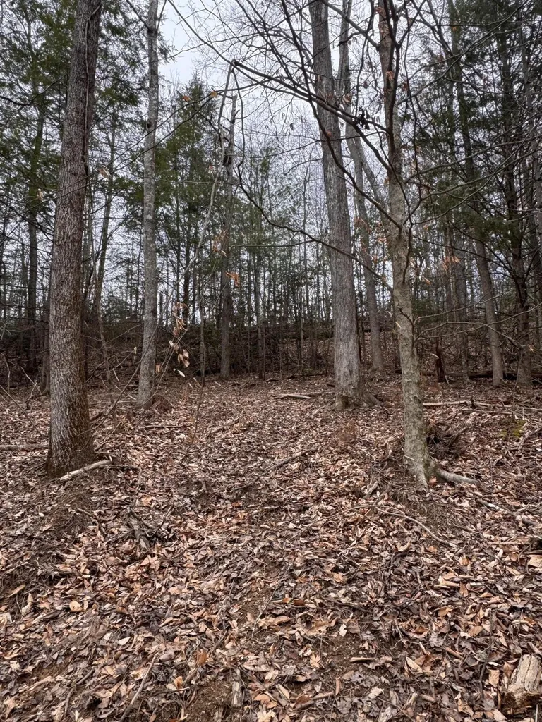 55 Low Ridge Road Campton KY 41301