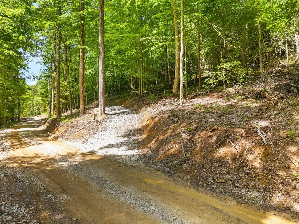 55 Low Ridge Road Campton KY 41301
