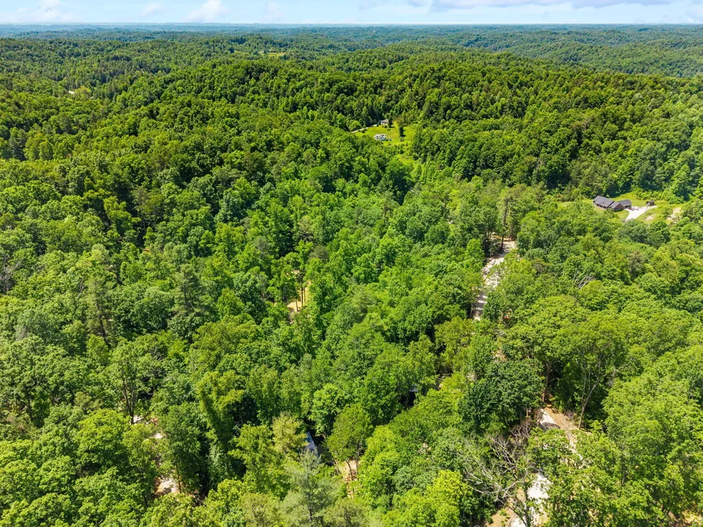 55 Low Ridge Road Campton KY 41301
