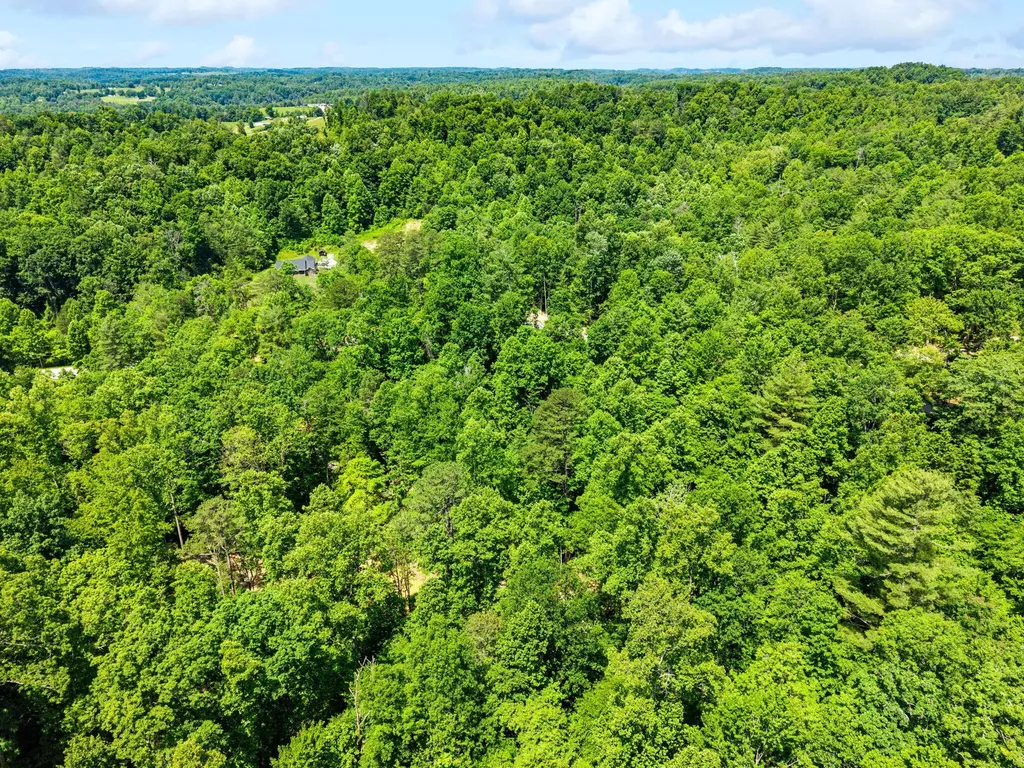 55 Low Ridge Road Campton KY 41301