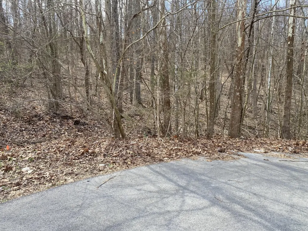 80 Warren Lane Mt Vernon KY 40456