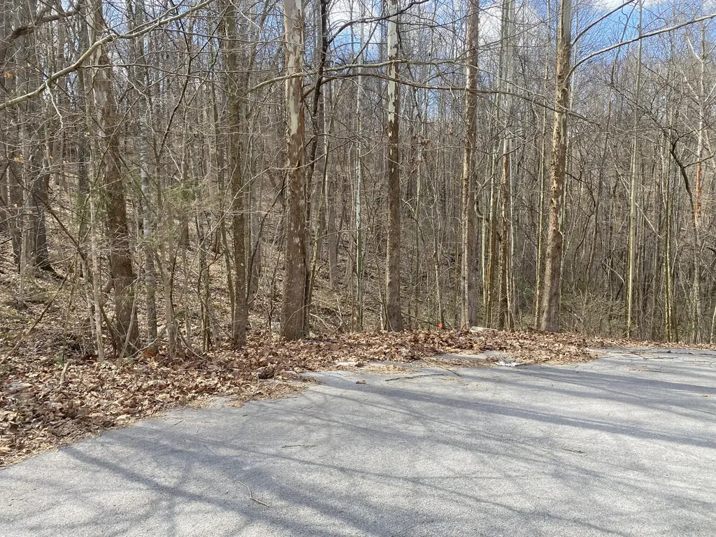 80 Warren Lane Mt Vernon KY 40456