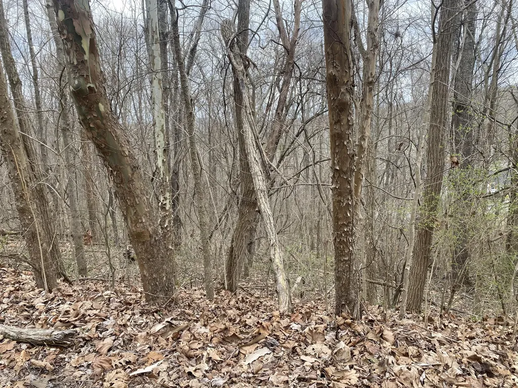 75 Twilight Avenue Mt Vernon KY 40456