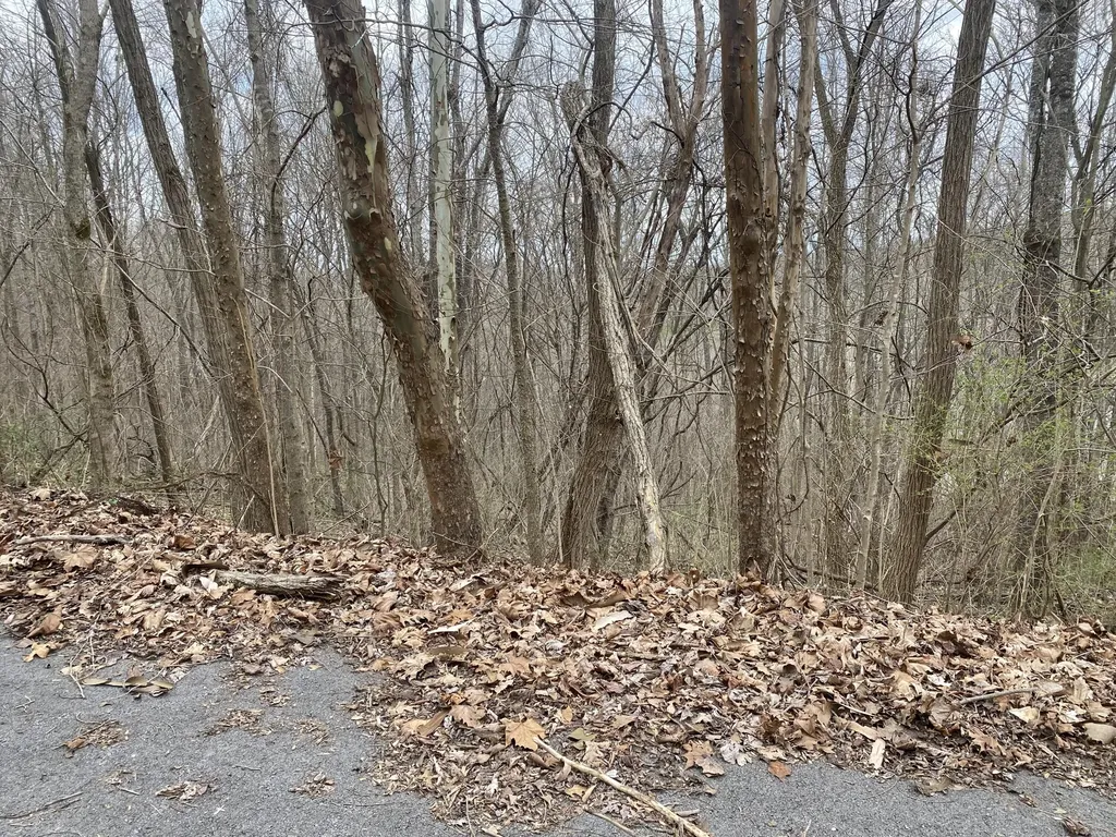 75 Twilight Avenue Mt Vernon KY 40456