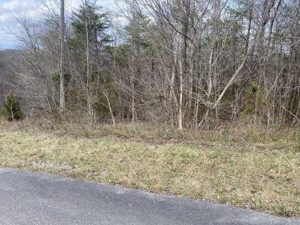 105 Silver Mist Mt Vernon KY 40456