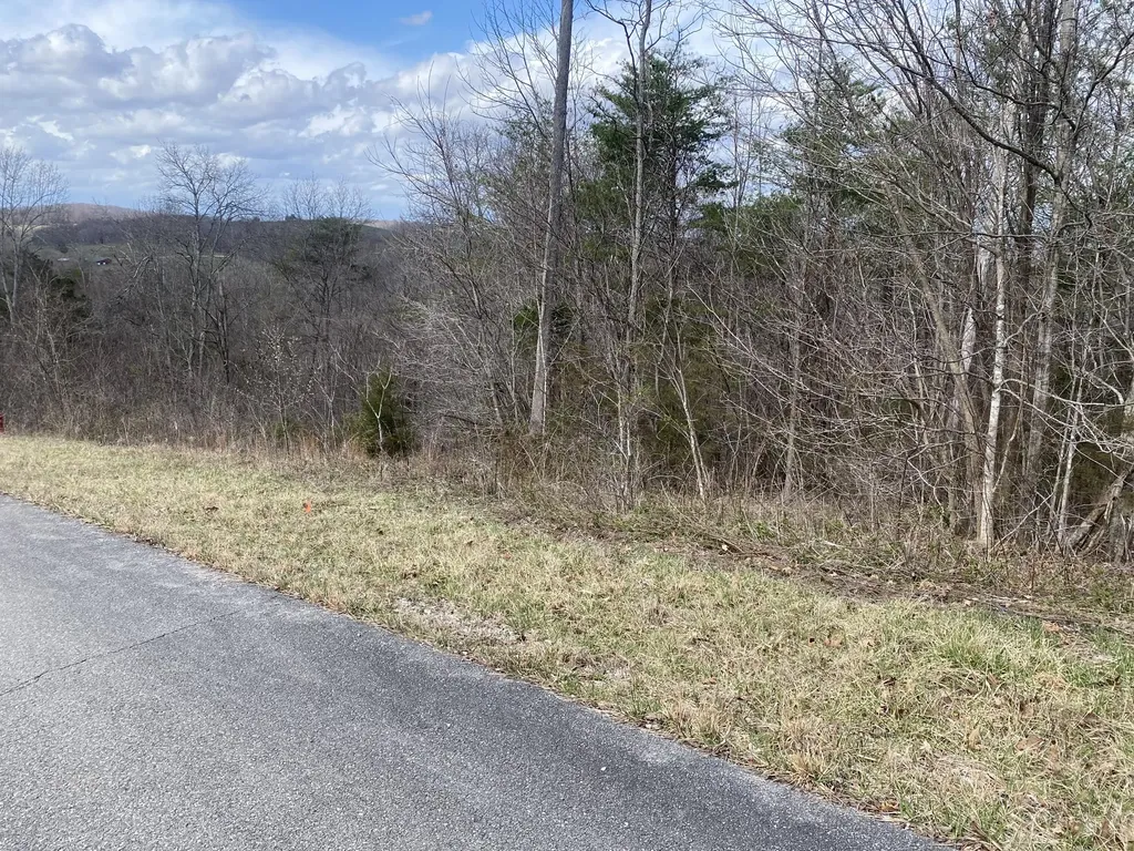 105 Silver Mist Mt Vernon KY 40456