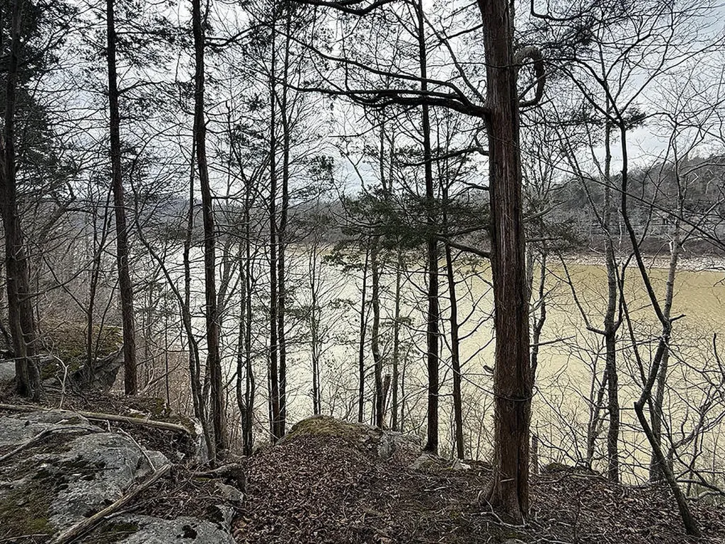 65 S Lake Drive Burnside KY 42519