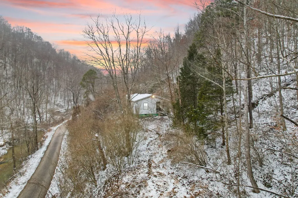 6119 Pigeon Roost Road Pilgrim KY 41250