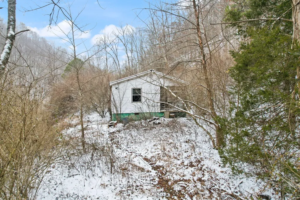 6119 Pigeon Roost Road Pilgrim KY 41250