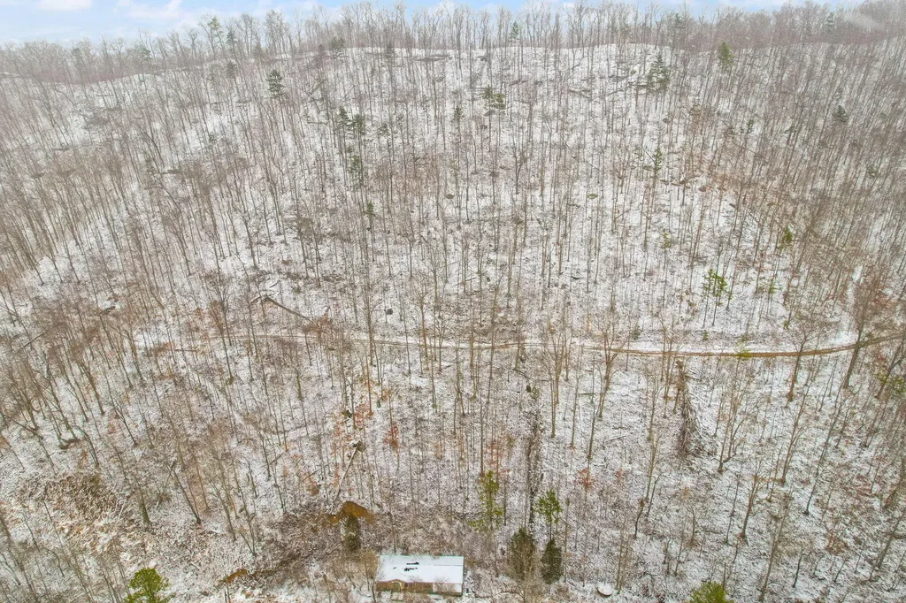 6119 Pigeon Roost Road Pilgrim KY 41250