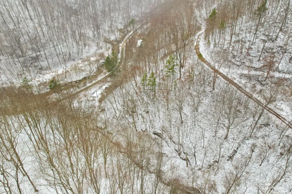 6119 Pigeon Roost Road Pilgrim KY 41250