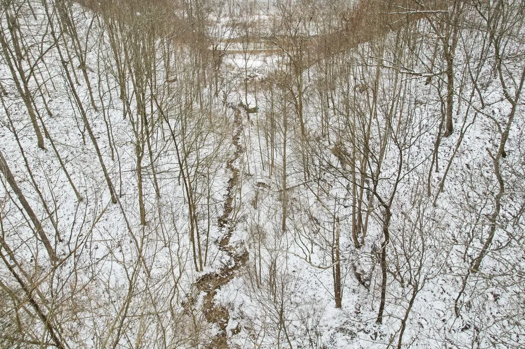 6119 Pigeon Roost Road Pilgrim KY 41250
