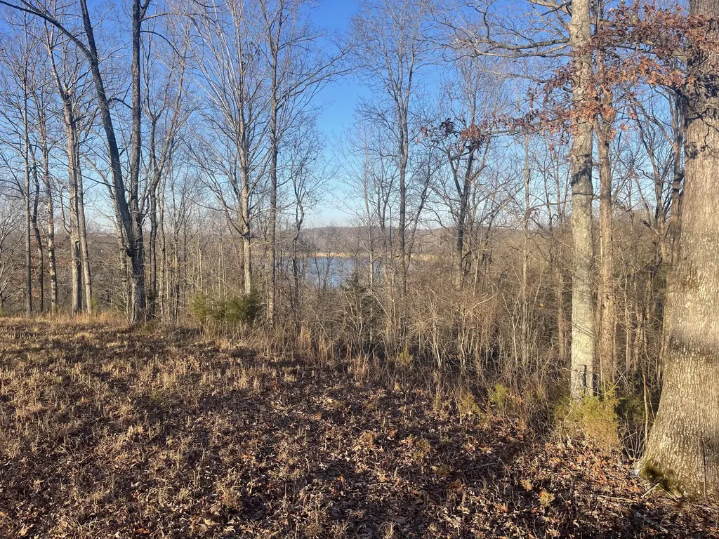 Lot 91 Cumberland Shores Monticello KY 42633