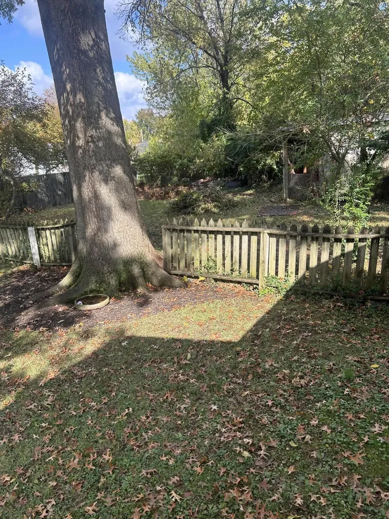 315 Preston Avenue Lexington KY 40502